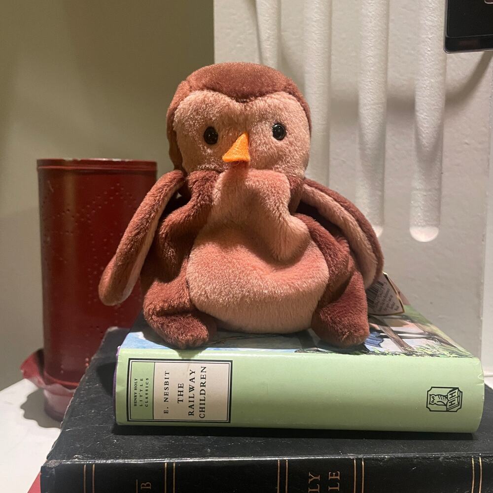 Rare TY Beanie Hoot with PVC Pellets - Owl Lovers